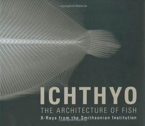 Livro - Ichthyo: The Architecture Of Fish