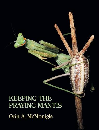 Livro - Keeping The Praying Mantis: Mantodean Captive...