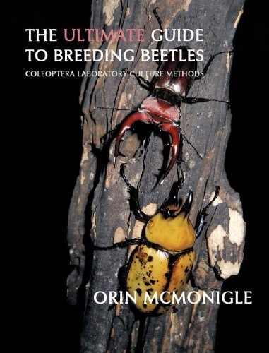 Livro - The Ultimate Guide To Breeding Beetles: Coleoptera