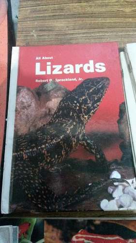 Livro Tudo Sobre Lagartos (all About Lizards) Robert G. Spra