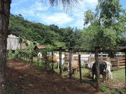 Sitio ótimo investimento - Espigão Alto do Iguaçu -
