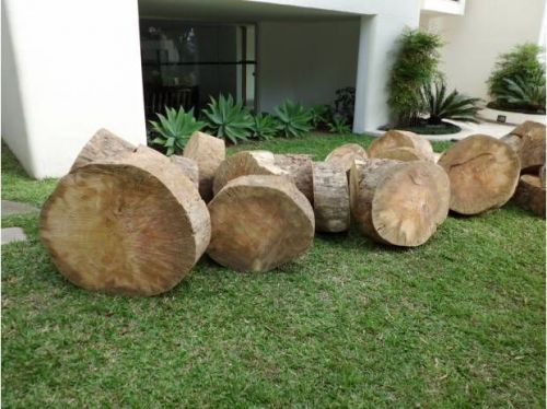 eng agronomo corte de poda