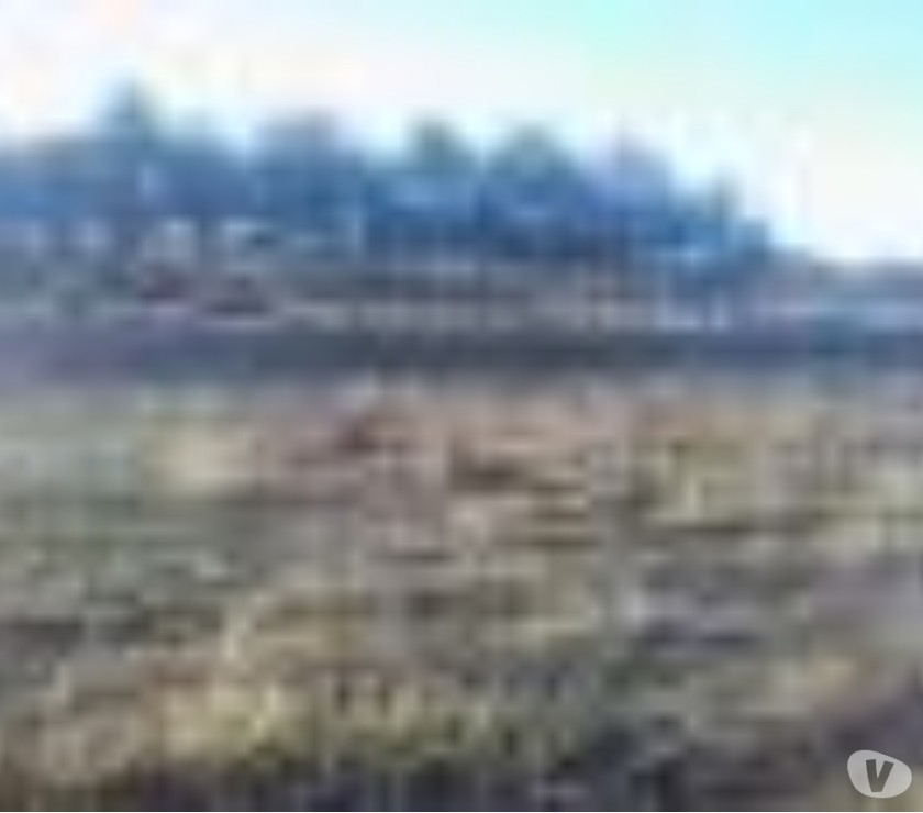 Não da pra perder esta oportunidade