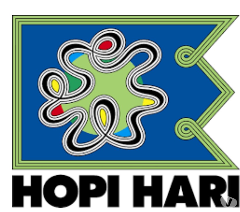 Passaporte Hopi Hari Excursões Preços Promocionais