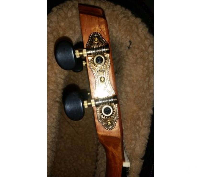 CavaquinhoCavaco Rozini Ademir Fogaça