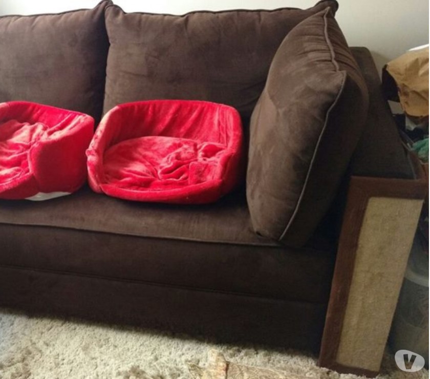 arranhador de gato e protetor de sofa promoçao imperdivel