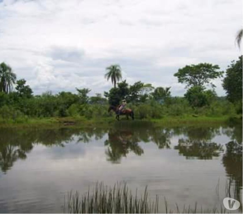 34 alqueires de pastagens em Marquinho