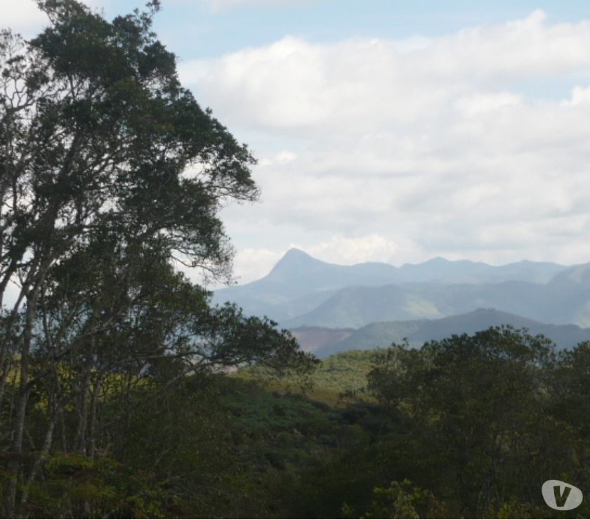 Fazenda Com Ótimo Acesso!!!