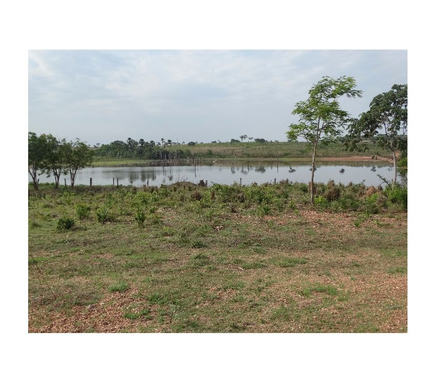 Fazenda em DIVINÓPOLIS - TO, Dupla Aptidão