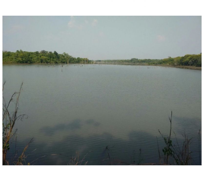 Fazenda em DIVINÓPOLIS - TO, p Agricultura