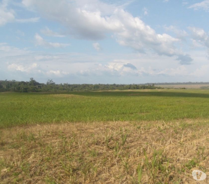 FAZENDA PARA LAVOURA.