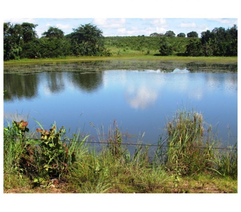 Fazenda em DUERÉ - TO, p Pecuária