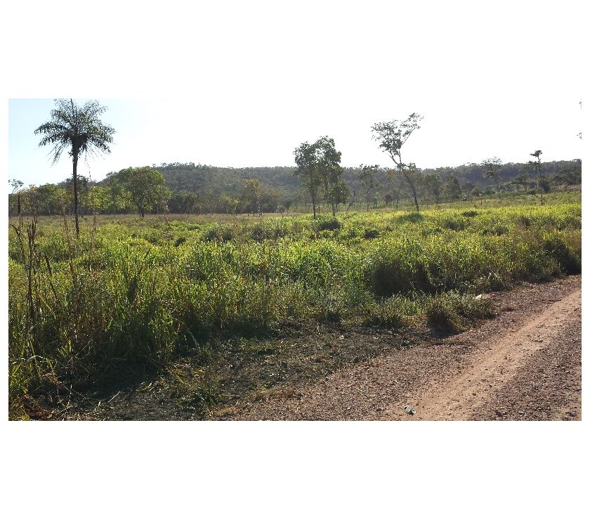 Fazenda em PINDORAMA - TO Dupla Aptidão 115 Alq.