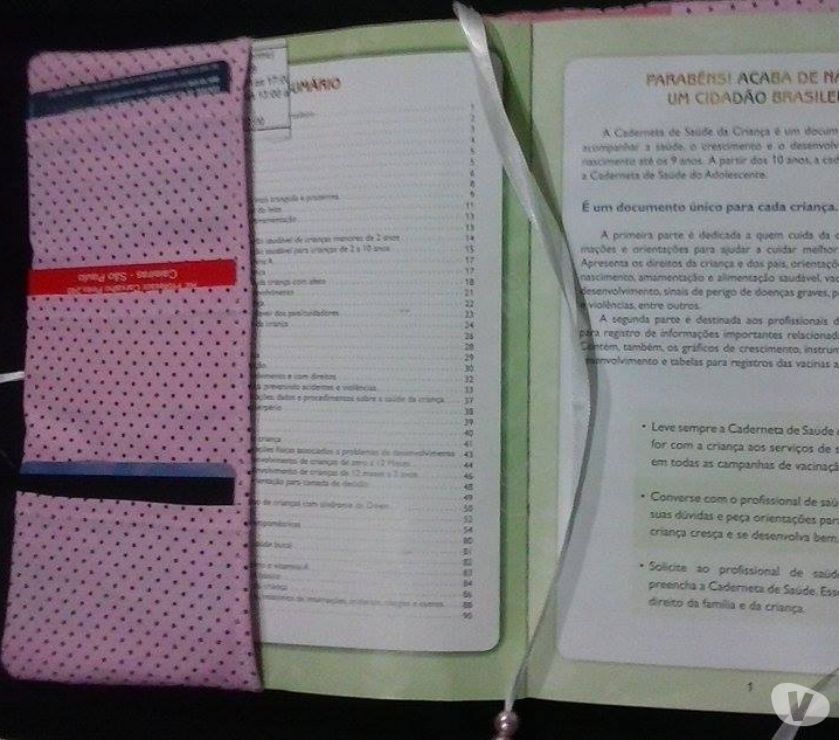 capa de caderneta de vacinação ou livro