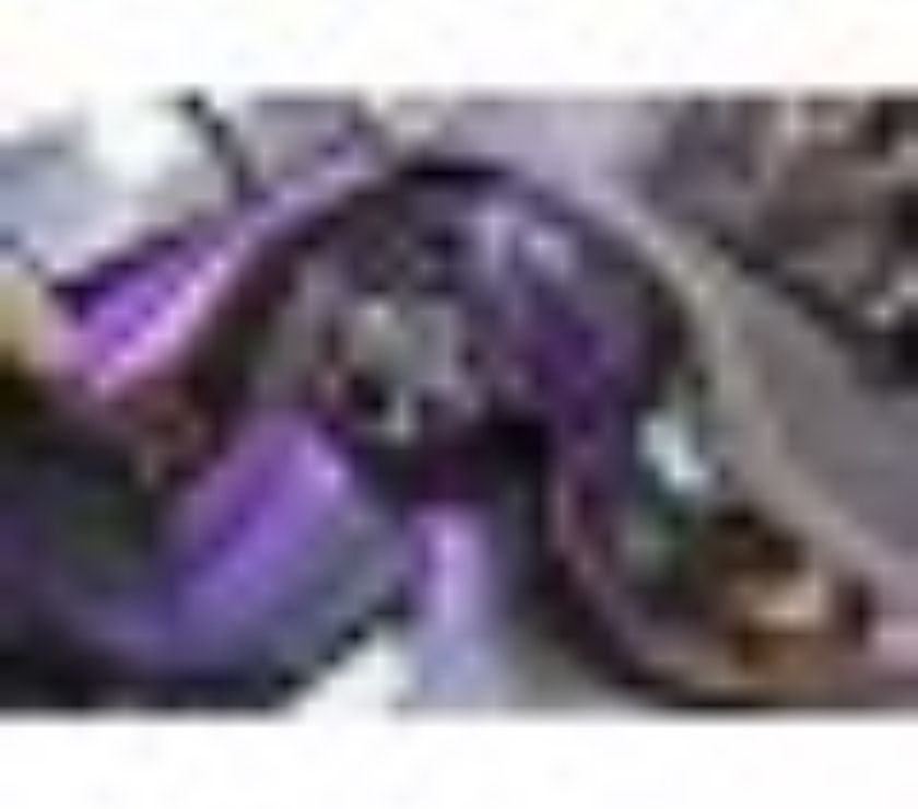 Irizar I6 Scania K Lug Completo