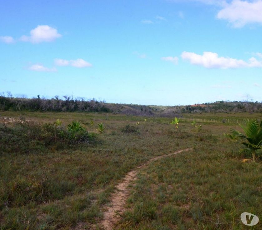 Sítio Bem localizado