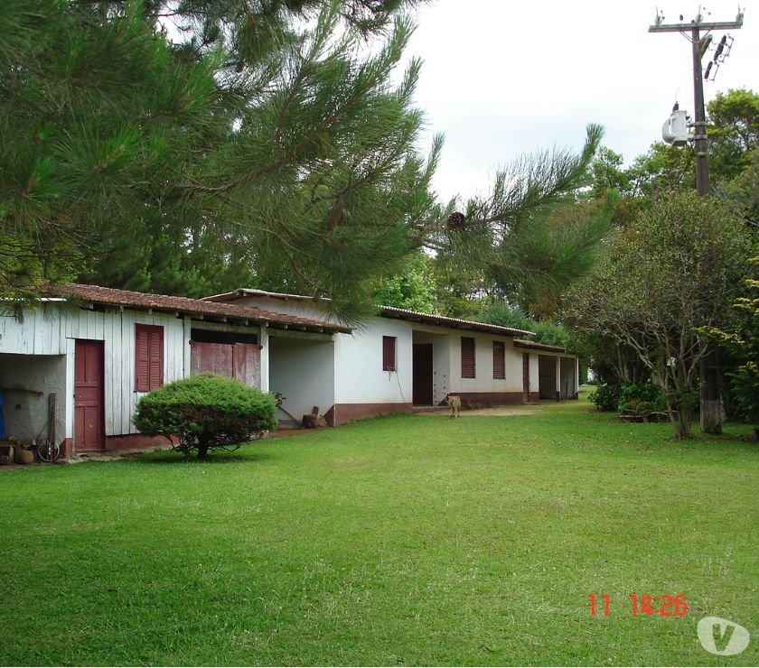 Excelente Sítio em Tijucas do Sul - 