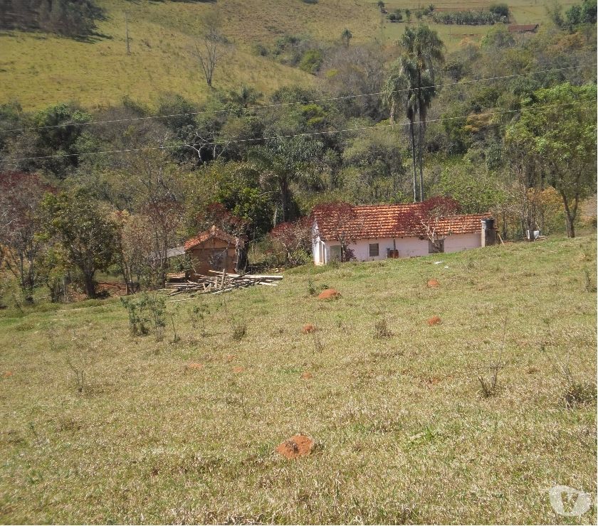 sitio 1,5 alqueires.Ponte preta