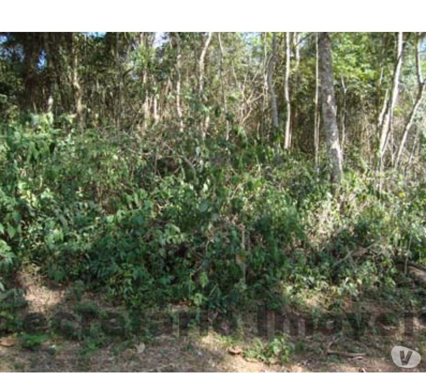 Terreno em ótimo local em Secretário! SEC 