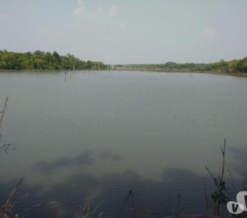 Divinópolis do Tocantins. TO. 001. Fazenda  hectareS