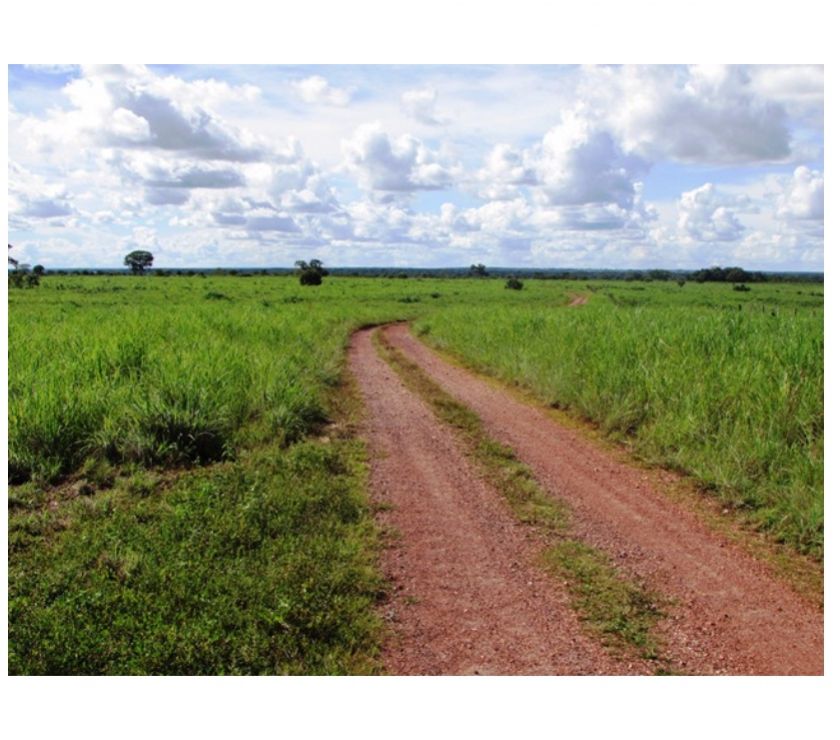 Fazenda em DUERÉ - TO, p Pecuária