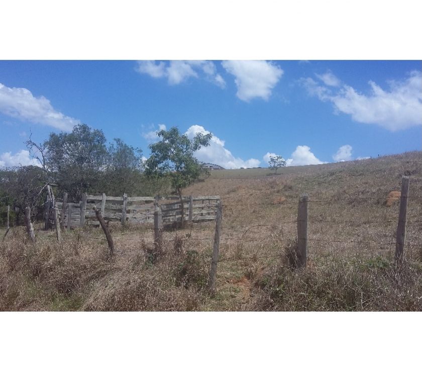 Sítio de 2 alqueires açude curral Sta Rita de Caldas 82