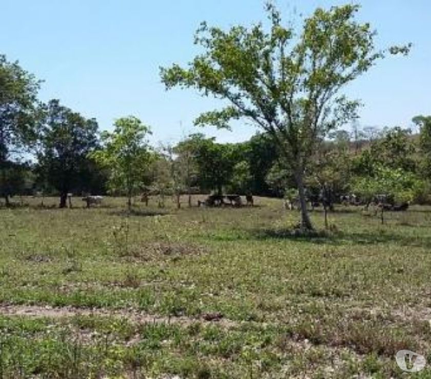 Vendo sitio 5.5 alqueres a menos de 100 km de Goiania