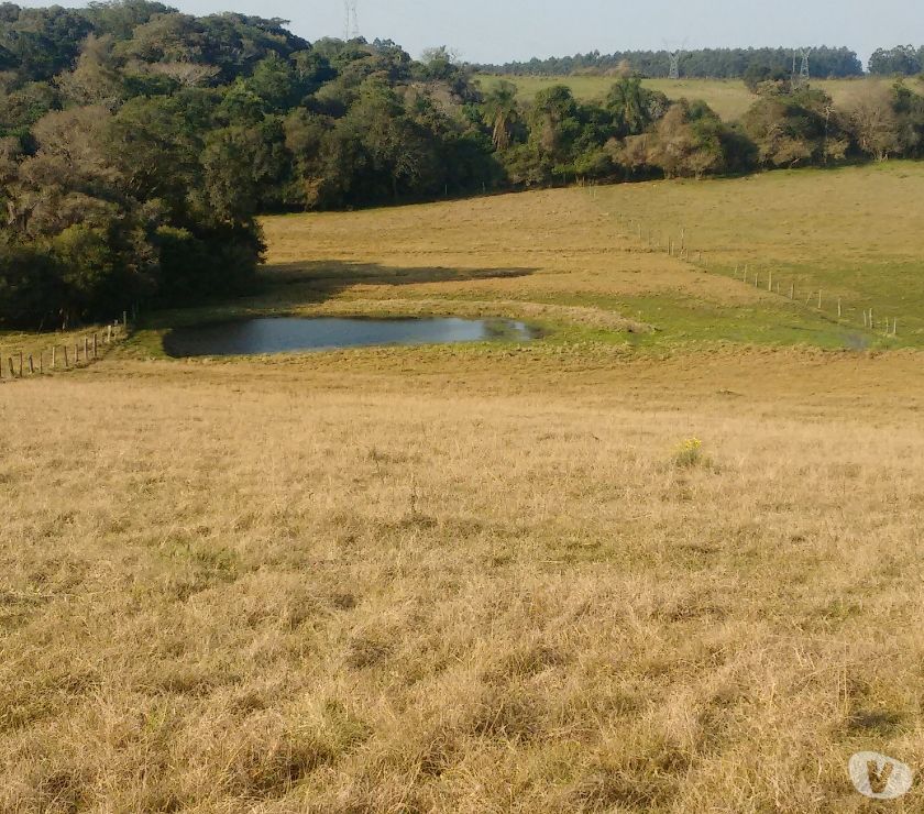 Chácara  m² - Morungava - Gravataí - RS