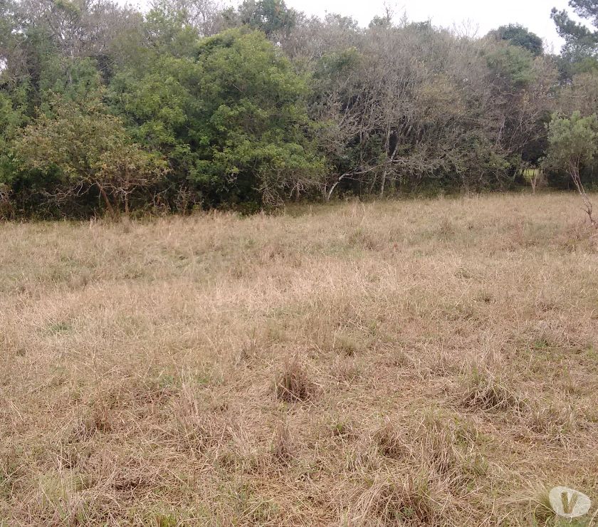 Chácara  m² - Corcunda - Gravataí - RS