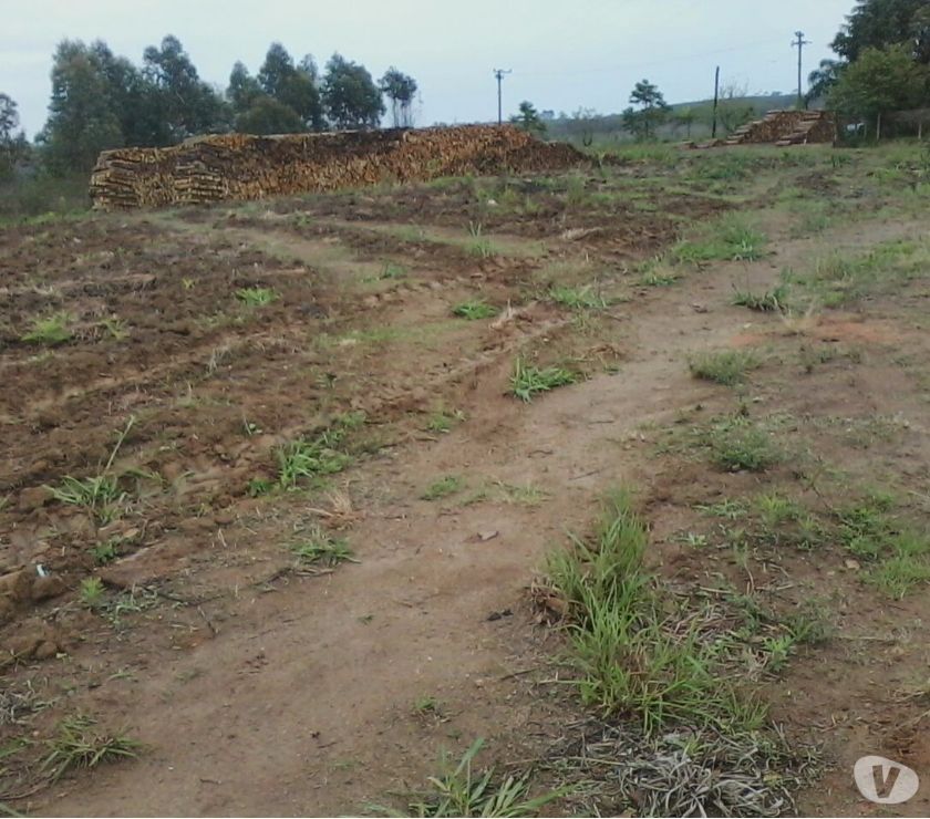 Sitio de 8 e 12 alqueires em Piedade SP