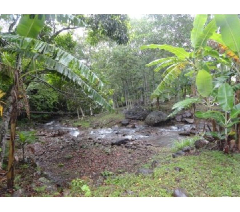 Sítio a venda em Siderópolis Rio Manin Treviso ligue