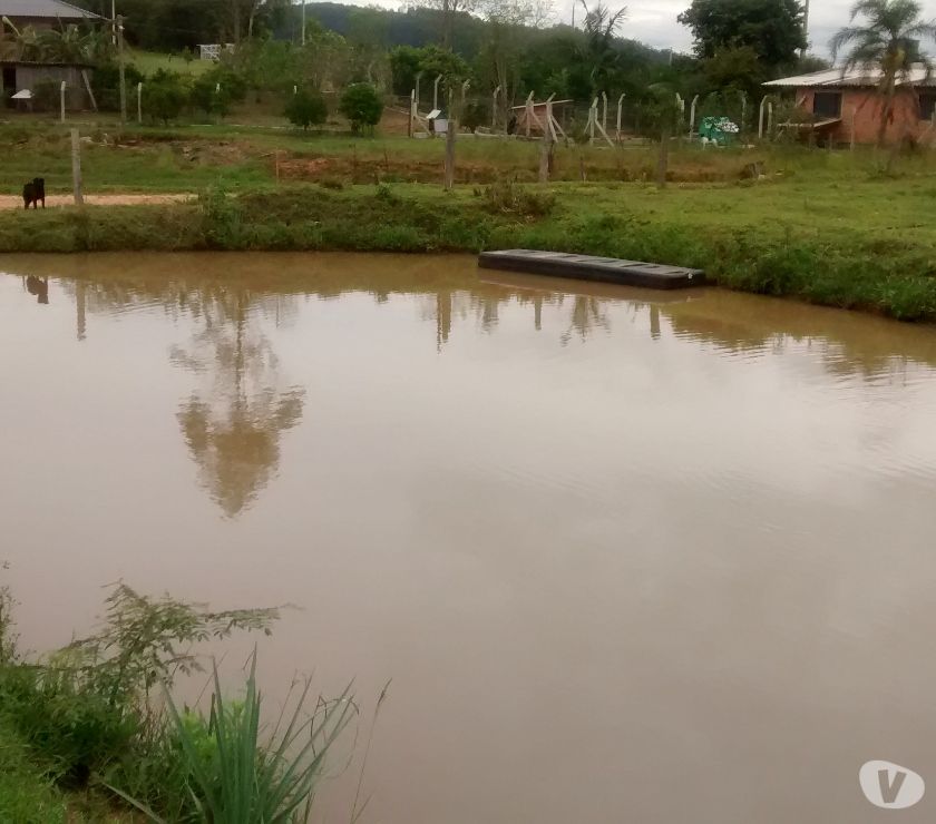 Chácara  m² - Morungava - Gravataí - RS