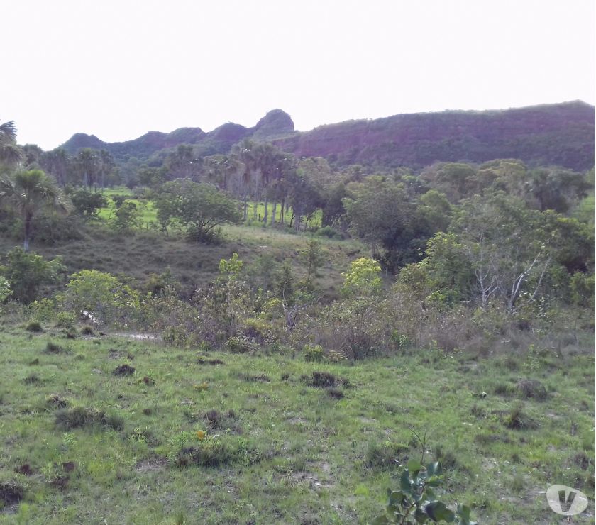 Fazenda 795há 128km Rondonópolis 