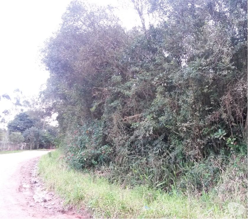 Chácara  m² - Jardim Estalagem - Viamão - RS