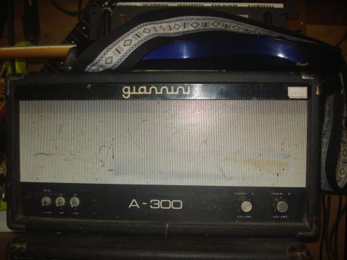 Potencia Gianini a 300 Valvulado