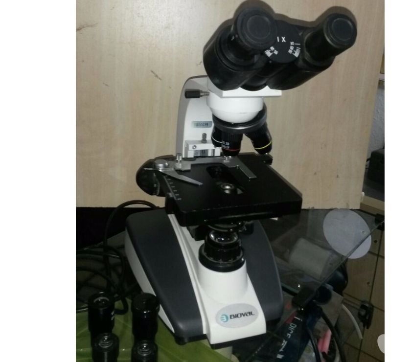 Microscópio Binocular Bioval Lb