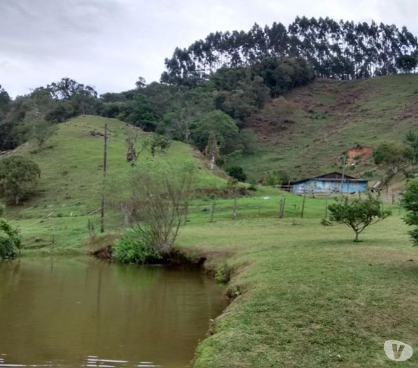 Sitio de 6 Hectares com nascente e casa em Angelina.