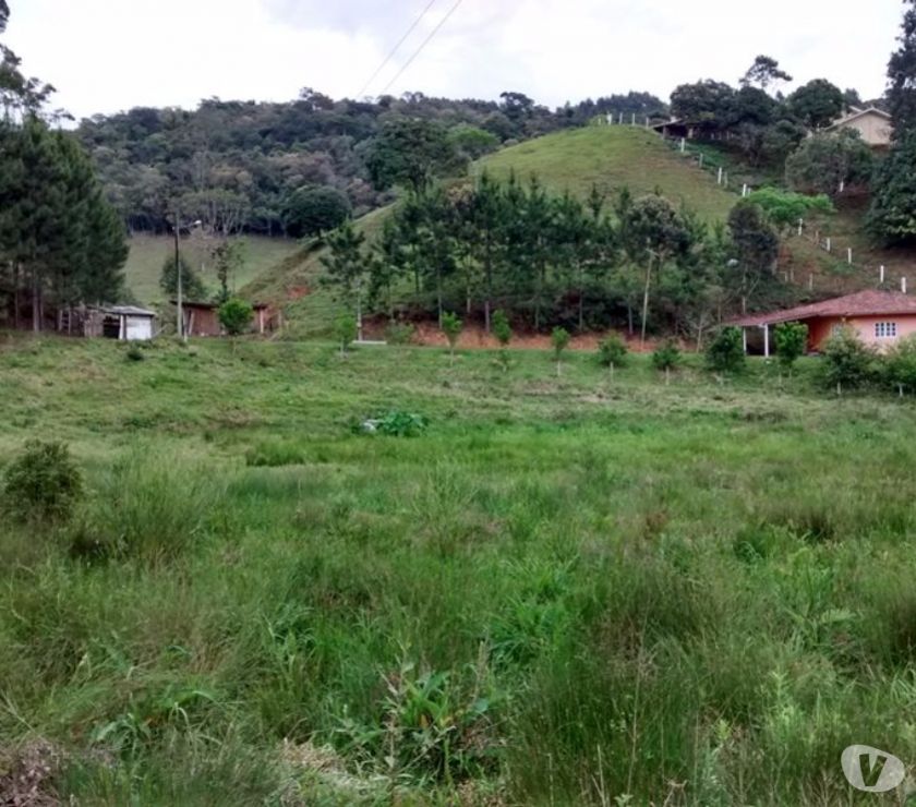 Sítio de  metros com casa, nascente em Angelina
