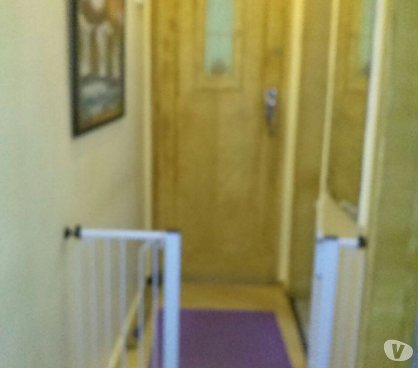 VENDO APARTAMENTO NO FLAMENGO