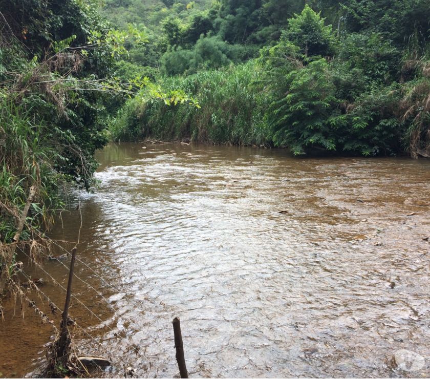Sítio a venda com uma linda casa
