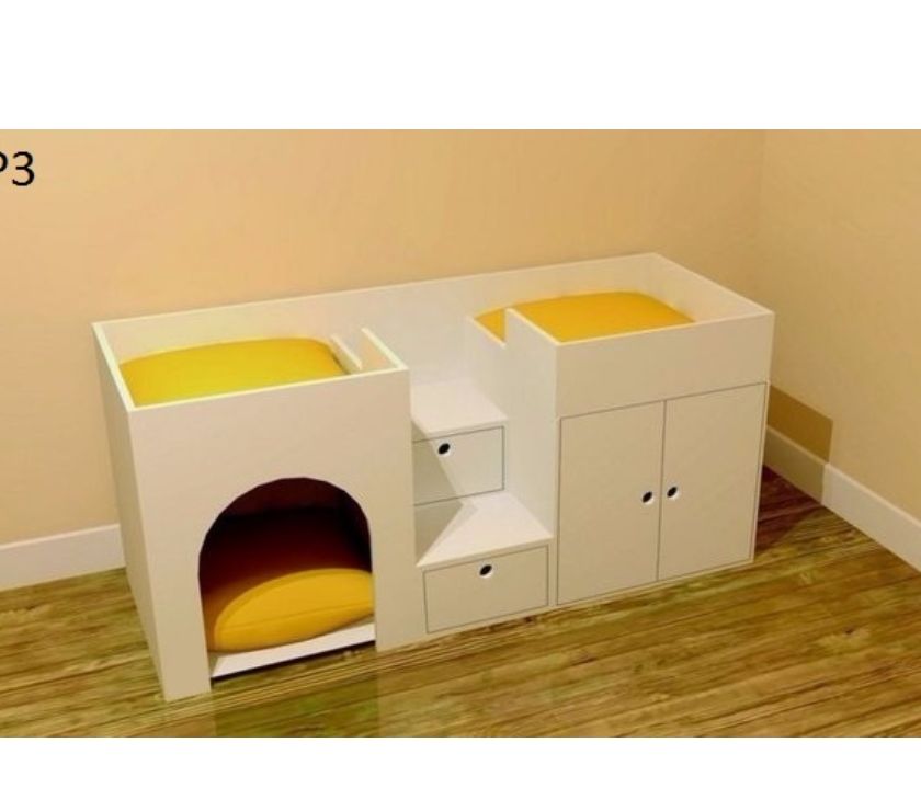 Procurando uma caminha para seu Bichinho