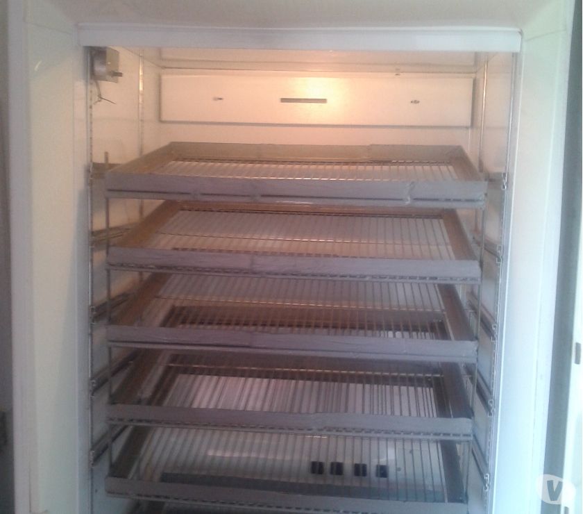 chocadeira Super profissional  ovos galinha