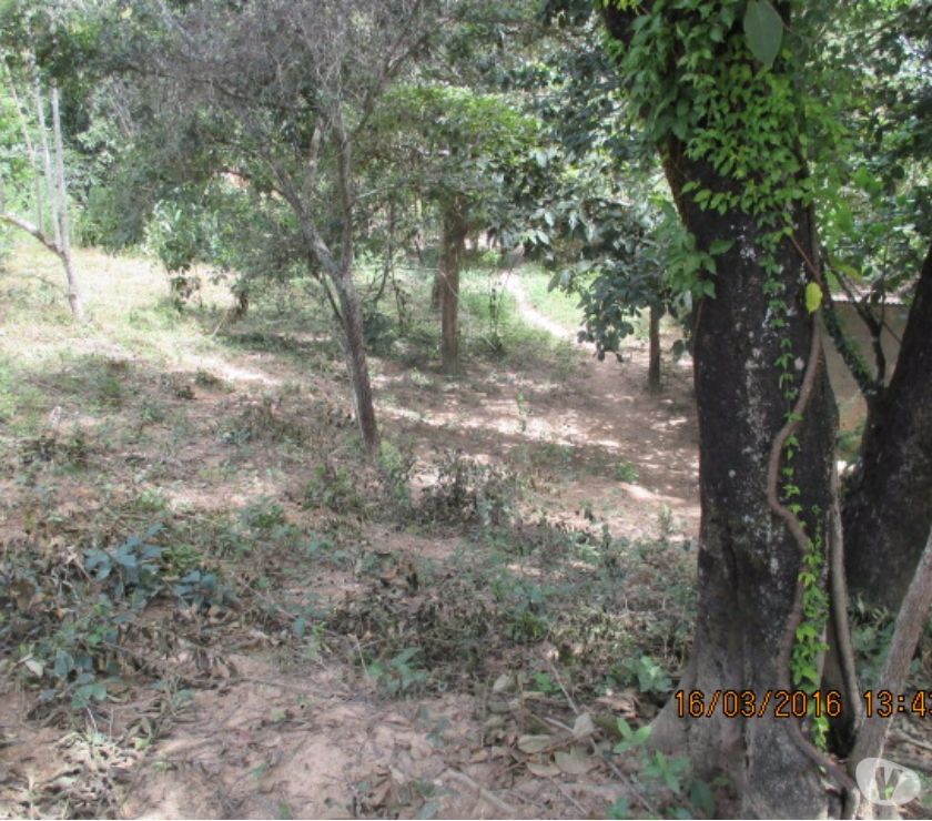 "URGENTE" TROCO OU VENDO CHÁCARA