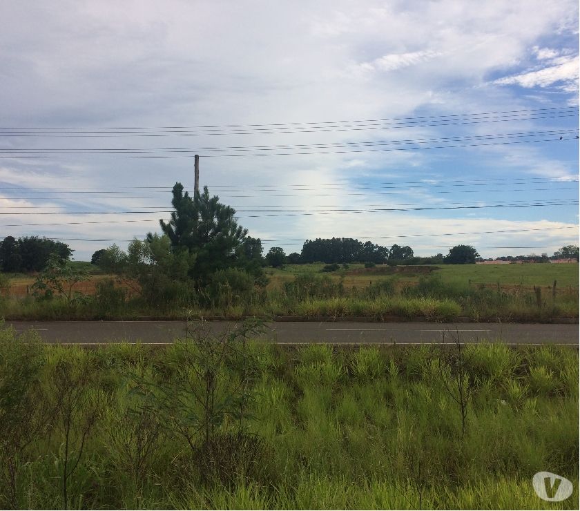 Sítio  m² - Betanin - Cachoeirinha - RS