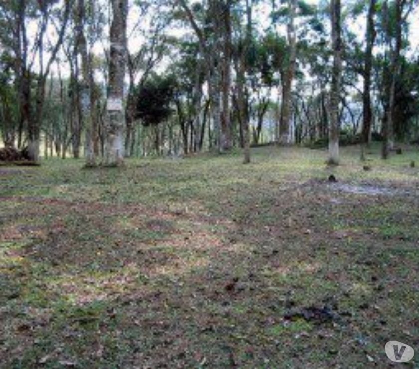 Chácara c linda vista na montanha perto da Represa Ibiúna.