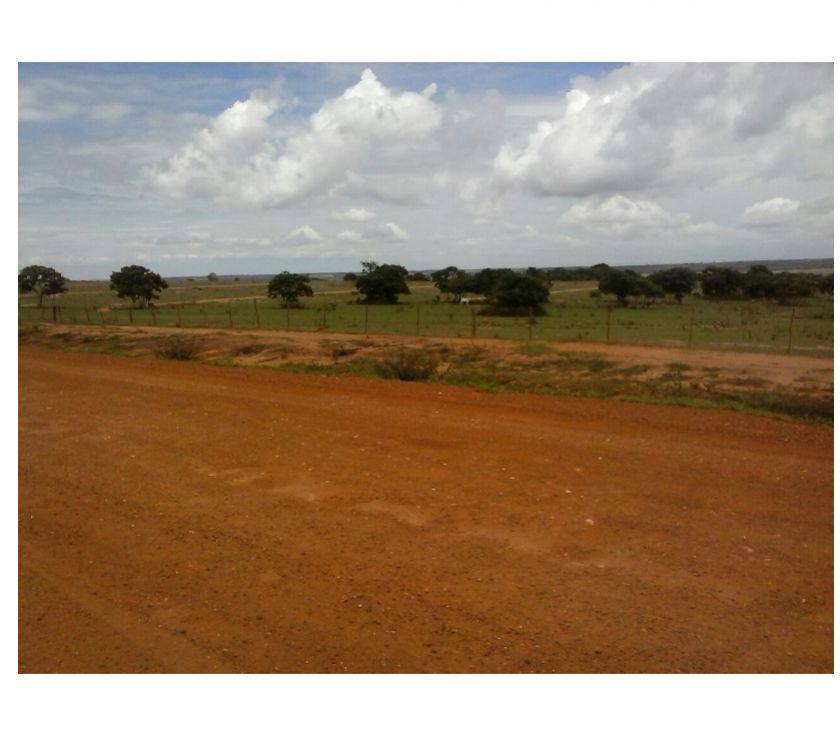 fazenda de 63 mil hectares no Mato Grosso