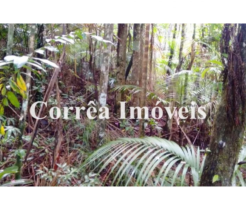 Terreno com otima topografia e valor