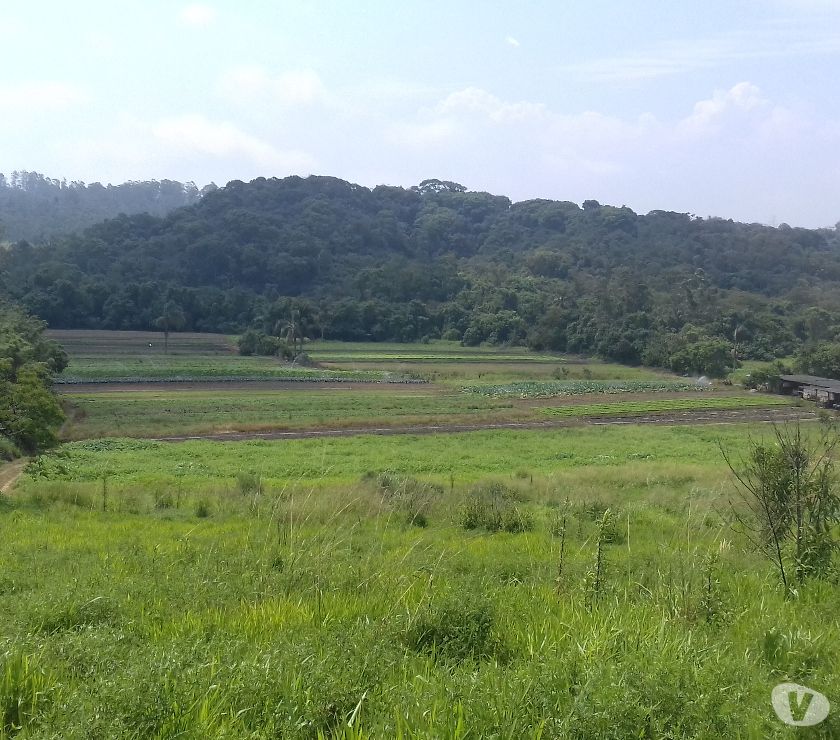 Terreno para chácara em Suzano