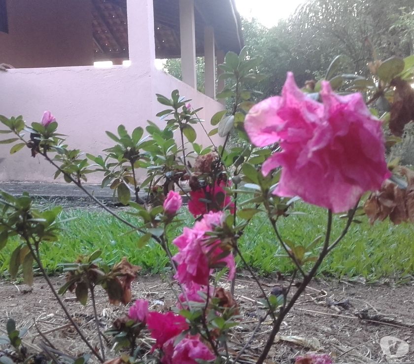 Chácara no Goiabal (4 Mil metros com casa) R$290 mil