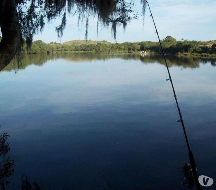 Fazenda Vacaria - 267 Ha